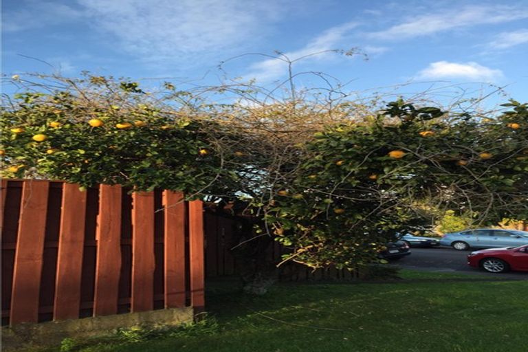 Photo of property in 1/7 Evelyn Place, Hillcrest, Auckland, 0627