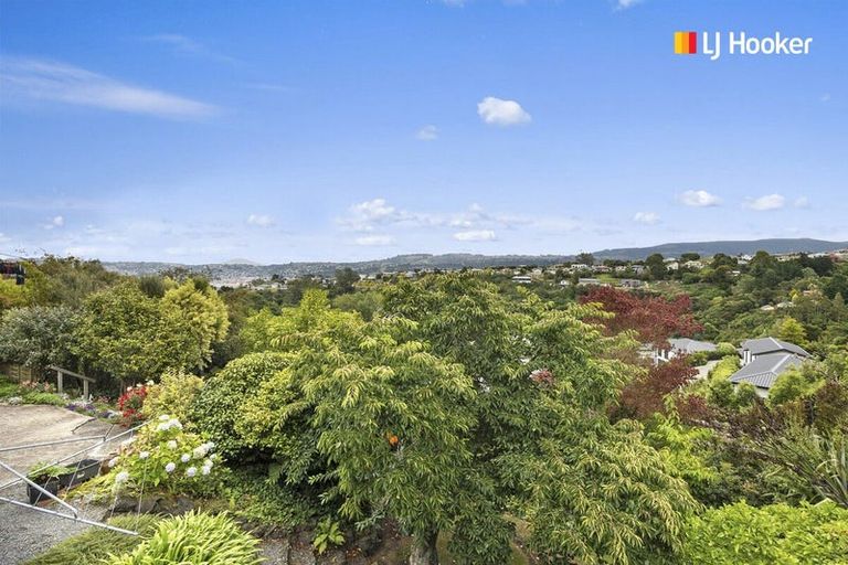 Photo of property in 43 Elliffe Place, Shiel Hill, Dunedin, 9013