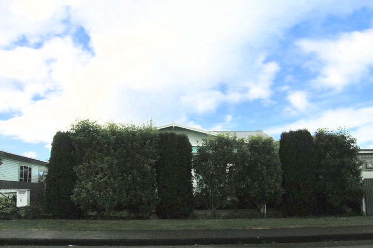 Photo of property in 424 Massey Street, Akina, Hastings, 4122