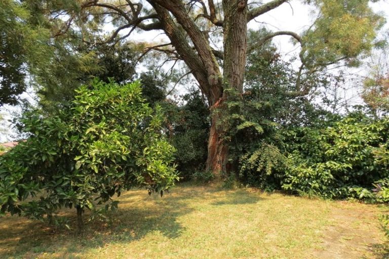 Photo of property in 16 Fry Street, Motueka, 7120