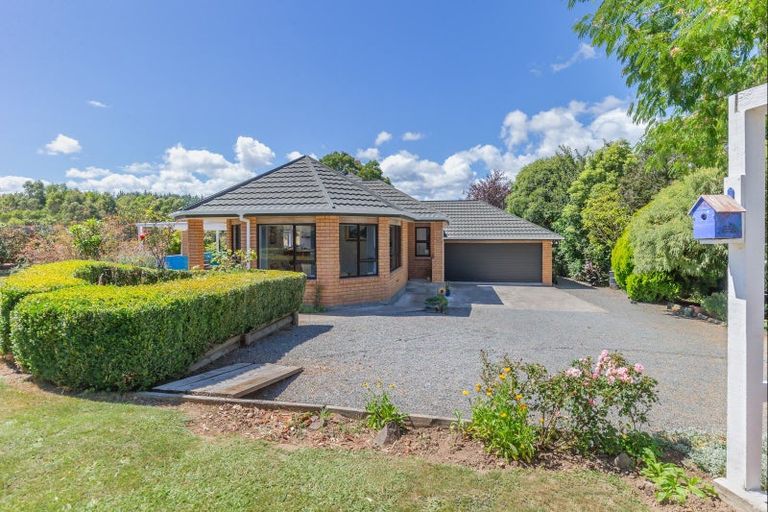 Photo of property in 223 Heatherlea East Road, Levin, 5571