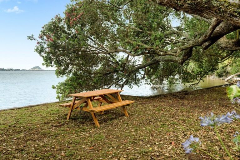 Photo of property in 9a Mersea Place, Maungatapu, Tauranga, 3112