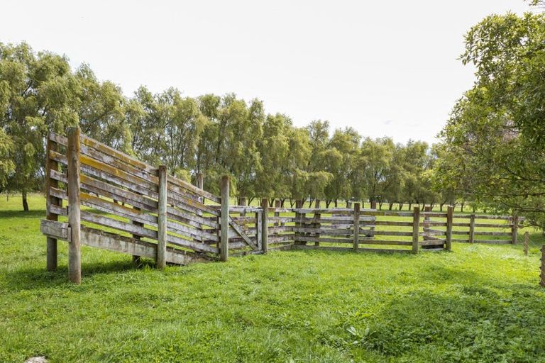 Photo of property in 448 Kairanga Bunnythorpe Road, Bunnythorpe, Palmerston North, 4478