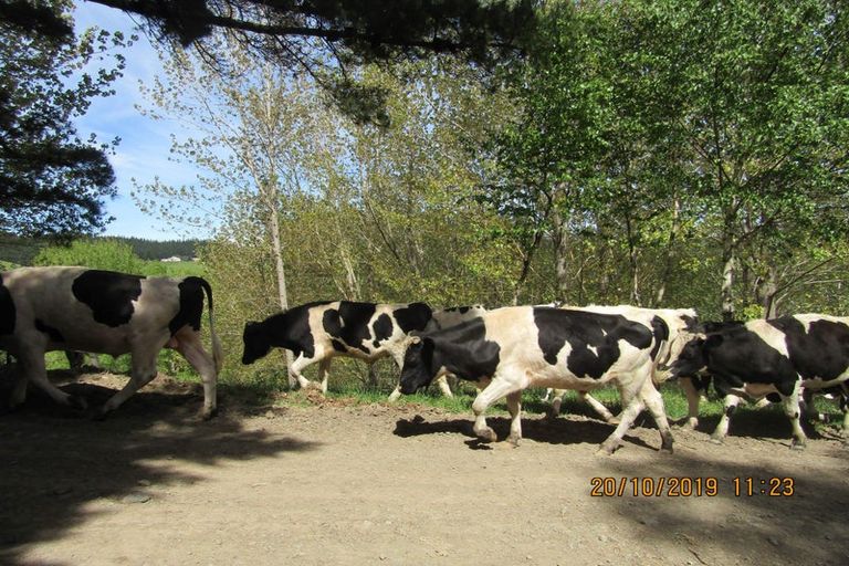 Photo of property in 608 Apley Road, Puketapu, Napier, 4184