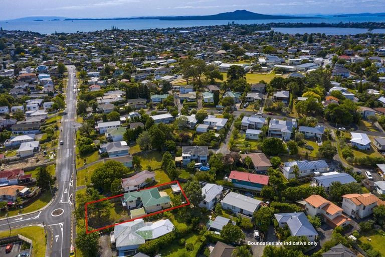 Photo of property in 40 Bond Crescent, Forrest Hill, Auckland, 0620
