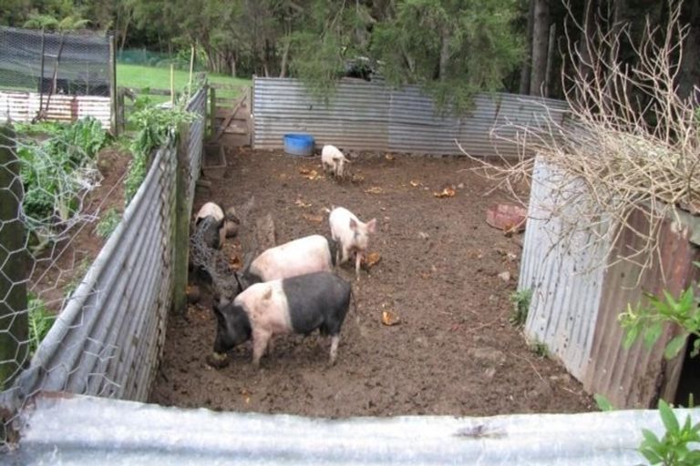 Photo of property in 5114 Te Araroa Road, Hicks Bay, Tikitiki, 4087