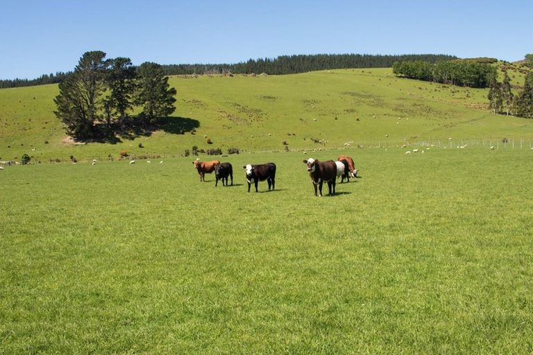 Photo of property in 125-127 Bell Road, Waiwhetu, Lower Hutt, 5010