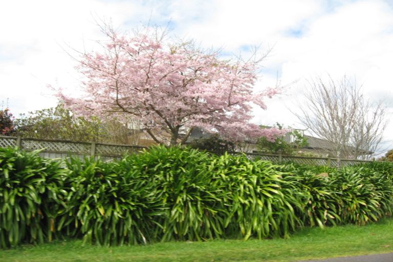 Photo of property in 351 Frankley Road, Ferndale, New Plymouth, 4310