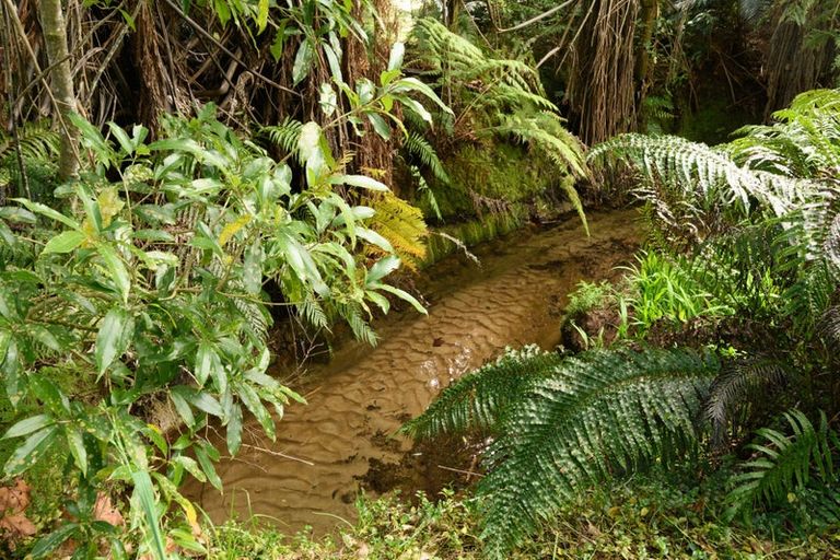 Photo of property in 257b Oropi Gorge Road, Oropi, 3173