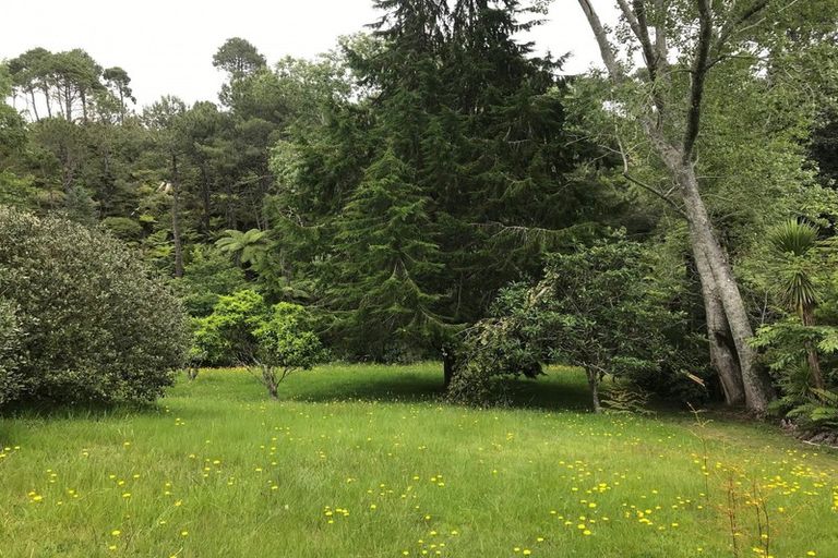 Photo of property in 851 Purangi Road, Cooks Beach, Whitianga, 3591