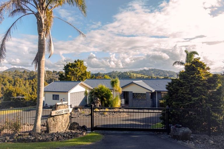 Photo of property in 70 Forest View Road, Te Kamo, Kamo, 0185