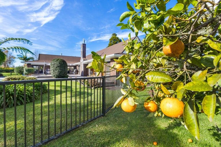 Photo of property in 9b Rainbow Falls Road, Kerikeri, 0230