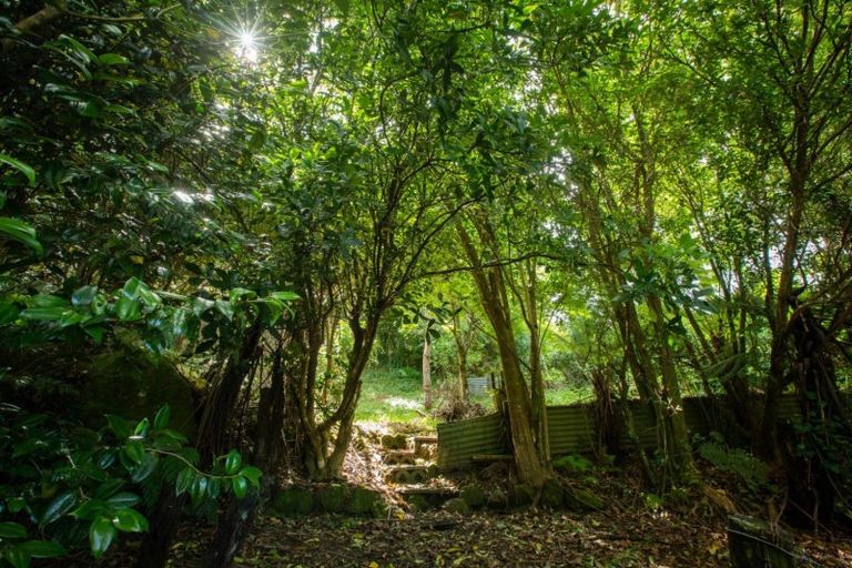 Photo of property in 8631c State Highway 2, Waikino, Waihi, 3682