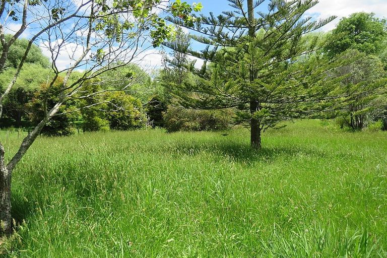 Photo of property in 605 Whakapirau Road, Whakapirau, Maungaturoto, 0583