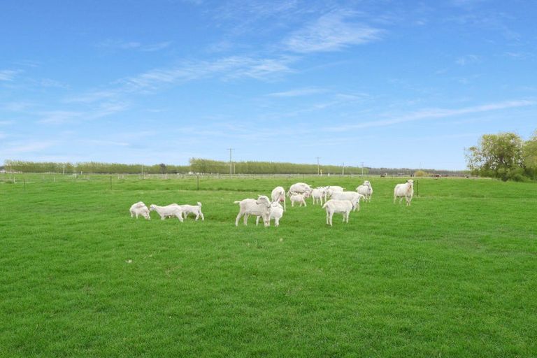 Photo of property in 236 Biggs Road, Richmond, Oamaru, 9493