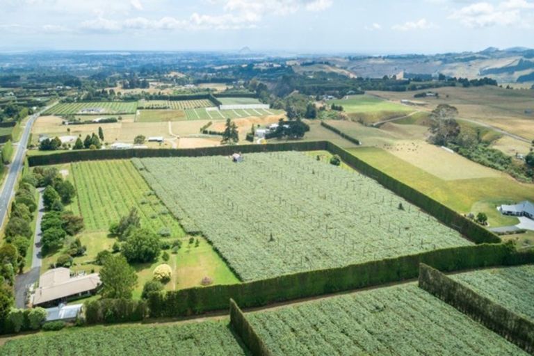 Photo of property in 905 Oropi Road, Oropi, Tauranga, 3173