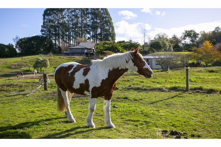 Photo of property in 4/864 Whangamata Road, Kinloch, Taupo, 3377