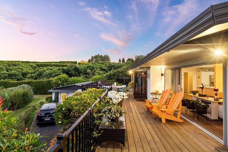 Photo of property in 313 Youngson Road, Whakamarama, Tauranga, 3179