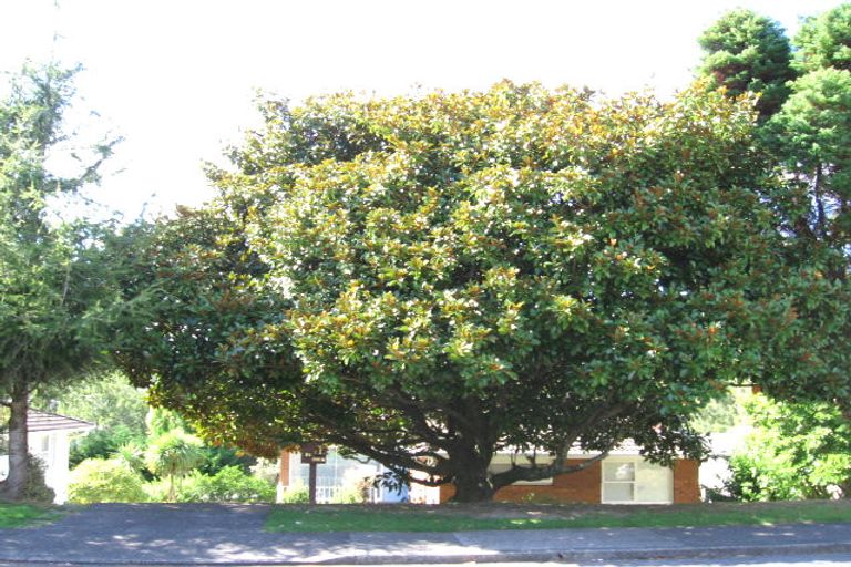 Photo of property in 31 Compton Street, Hillcrest, Auckland, 0627