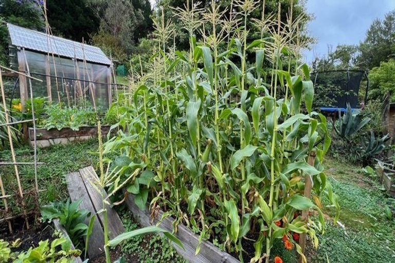 Photo of property in 72 Toi Toi Street, Toi Toi, Nelson, 7010