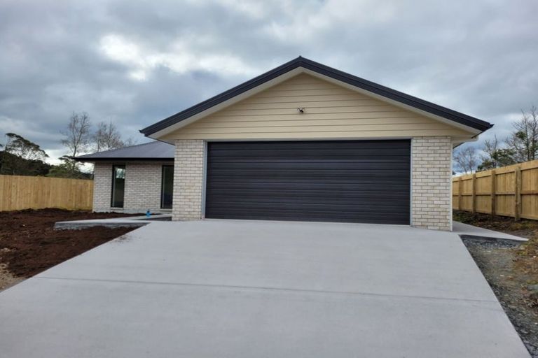 Photo of property in 24 Rock Ridge Drive, Te Kamo, Whangarei, 0112