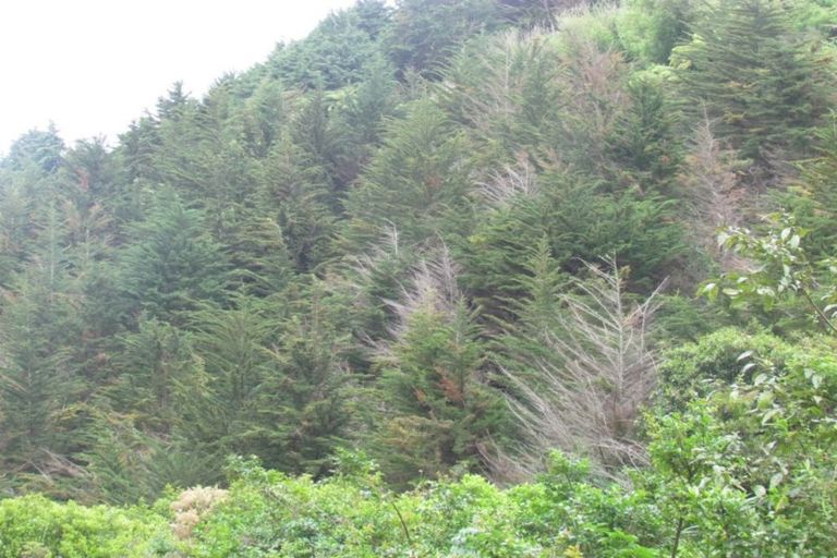 Photo of property in 2 Ararata Road, Hawera, 4672