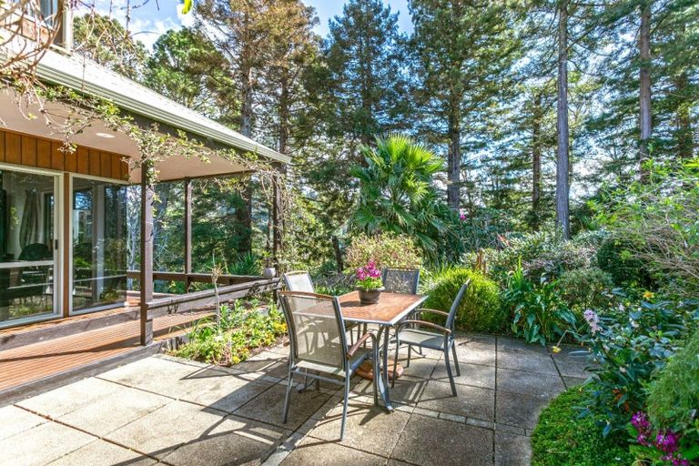 Photo of property in 119 Chevron Crescent, Whangamata, 3620