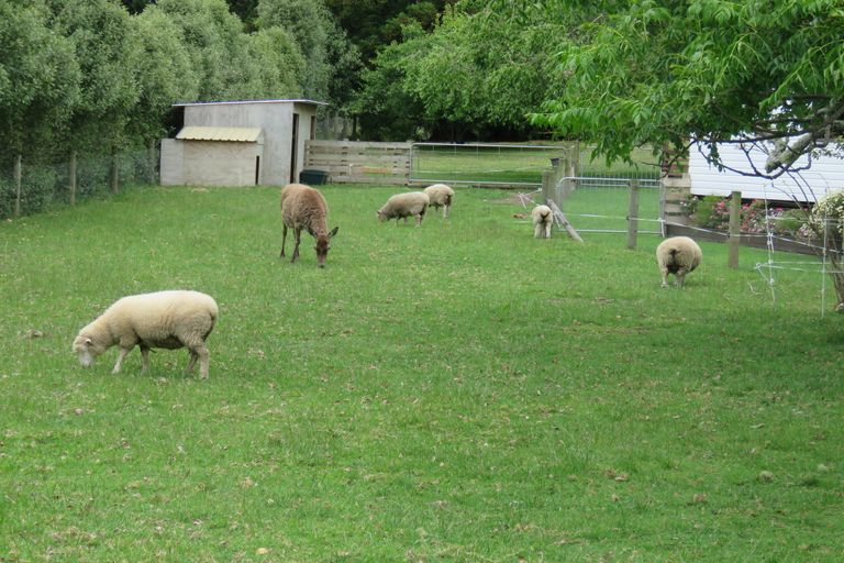 Photo of property in 31 Orchard Road, Kerikeri, 0295