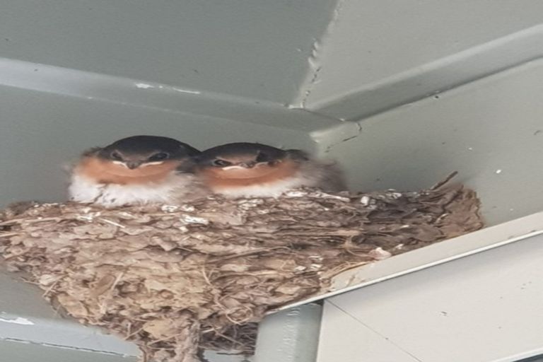 Photo of property in 35 Namsan Close, Fairview Heights, Auckland, 0632