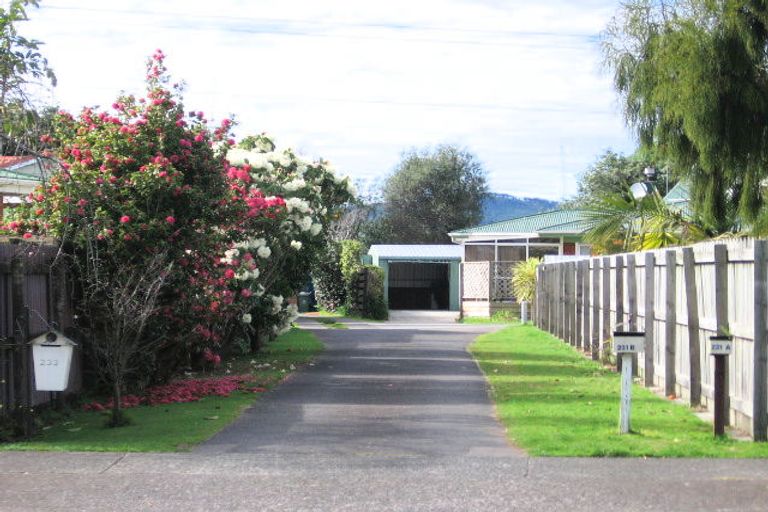 Photo of property in 231a Maungatapu Road, Maungatapu, Tauranga, 3112
