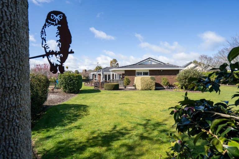 Photo of property in 10 Rowling Place, Leamington, Cambridge, 3432