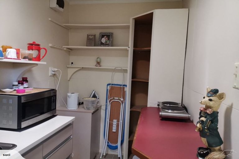 Photo of property in 19 Albany Road, Ponsonby, Auckland, 1011