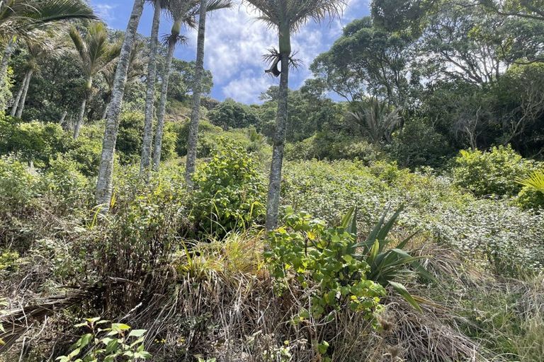 Photo of property in 14 Boulder Bay Drive, Tuateawa, Coromandel, 3583
