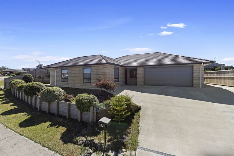 Photo of property in 6 Andrew Hilton Close, Morrinsville, 3300