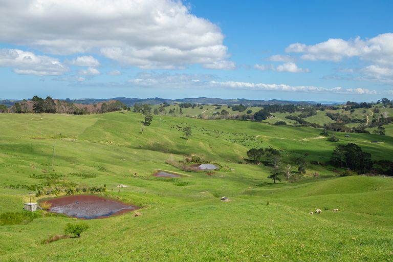 Photo of property in 200 Ingleton Road, Wellsford, 0972