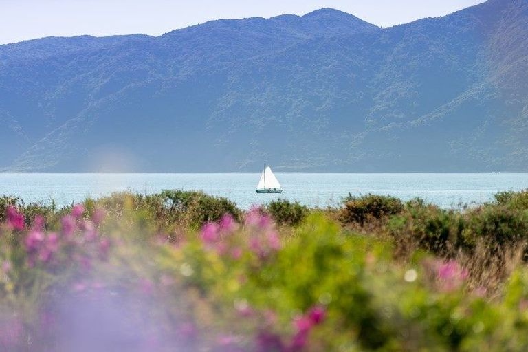 Photo of property in 59 Manly Street, Paraparaumu Beach, Paraparaumu, 5032