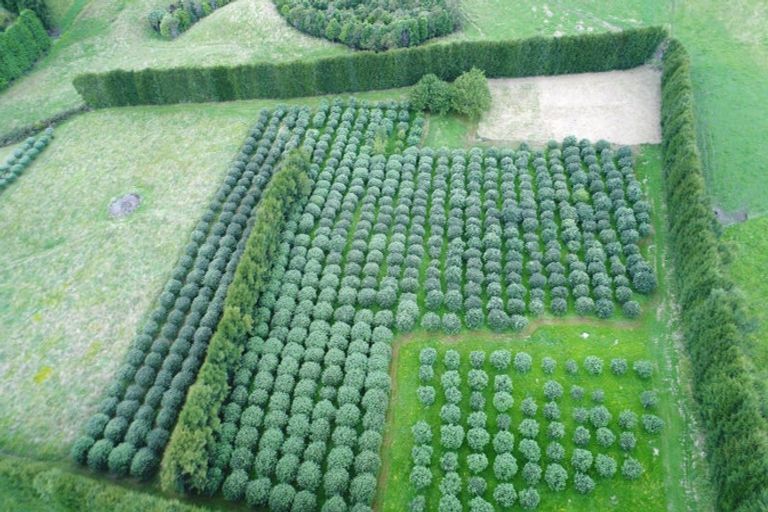 Photo of property in 151d Hereford Road, Oropi, 3173