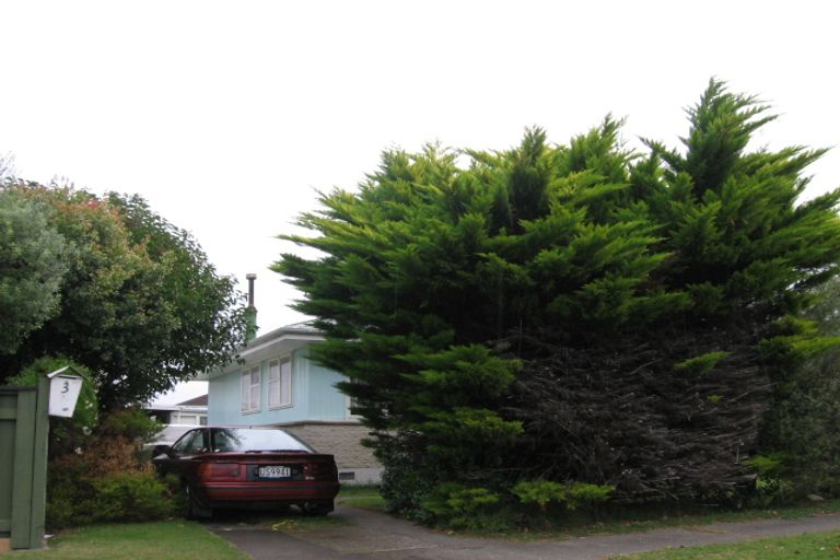 Photo of property in 3 Tyrone Place, Tamatea, Napier, 4112