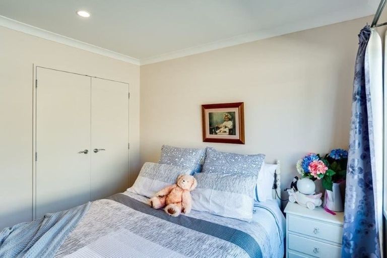 Photo of property in 45 Fairview Place, Havelock North, 4130