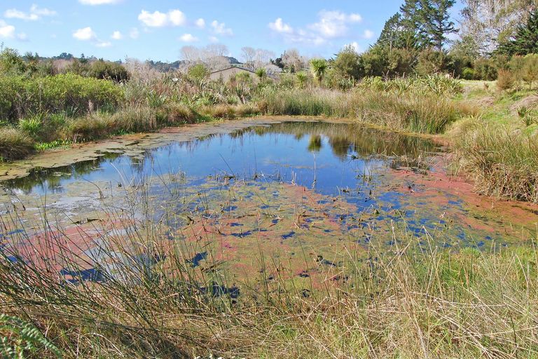 Photo of property in 5 Lupis Way, Kaiwaka, 0573