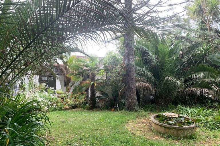 Photo of property in 12 Cliff Road, Torbay, Auckland, 0630