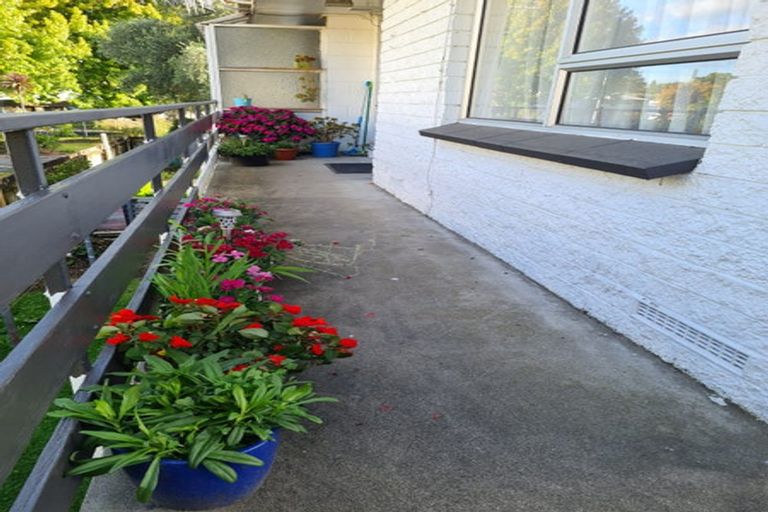 Photo of property in 3g Willoughby Street, Whitiora, Hamilton, 3200