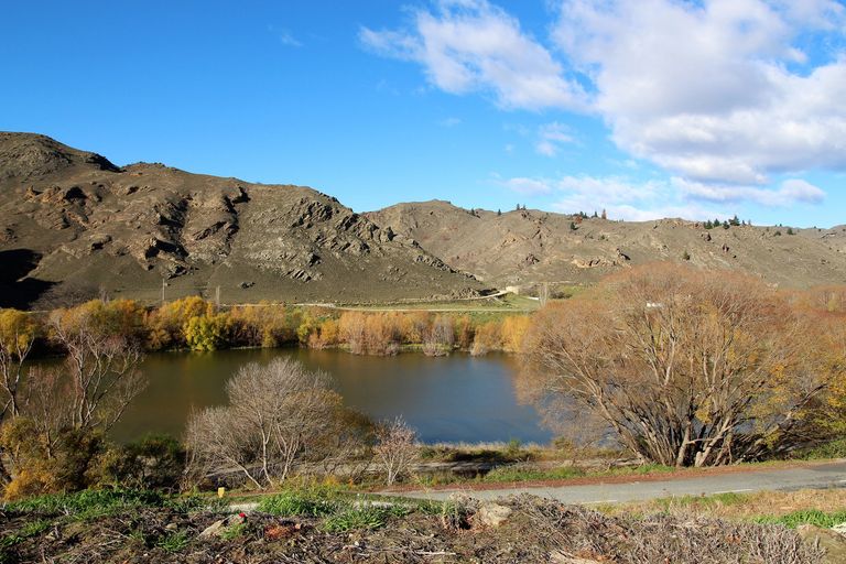 Photo of property in 32 Rivers Street, Alexandra, 9320