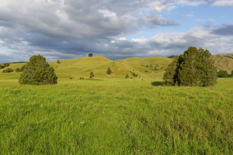 Photo of property in 9a Pond Road, Raglan, 3295