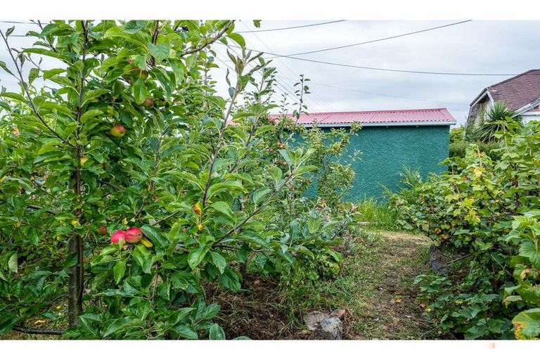 Photo of property in 22 Harris Street, Waimate, 7924