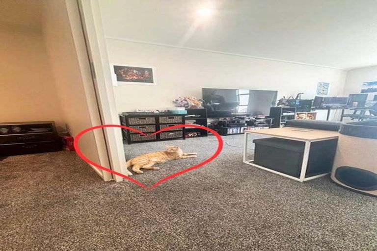 Photo of property in The Lofts, 32/185 Victoria Street, Te Aro, Wellington, 6011