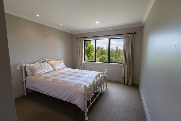 Photo of property in 113 Maungakawa Road, Cambridge, 3496