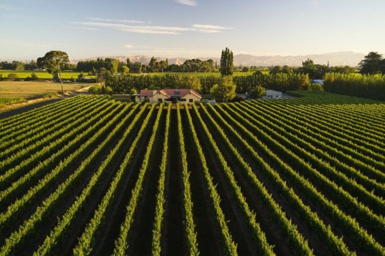 Photo of property in 91 Hillocks Road, Spring Creek, Blenheim, 7273