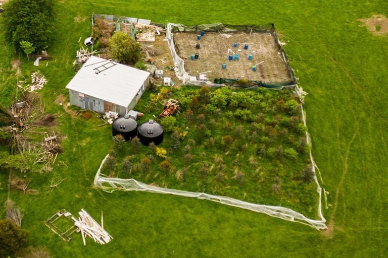 Photo of property in 767 Catlins Valley Road, Tawanui, Owaka, 9586