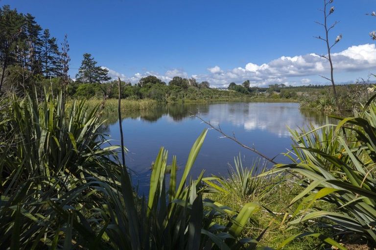 Photo of property in 2195d State Highway 2, Aongatete, Katikati, 3181